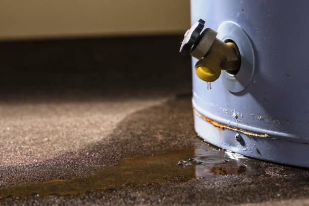 Best Water damage restoration near me  in Rosend, LA