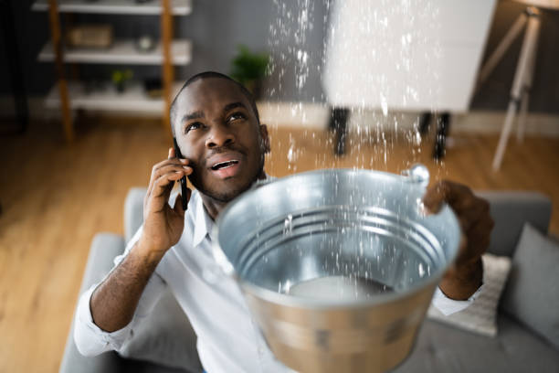Best Flood damage cleanup  in Rosend, LA
