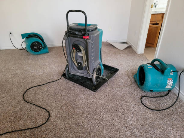 Best Basement water damage restoration  in Rosend, LA