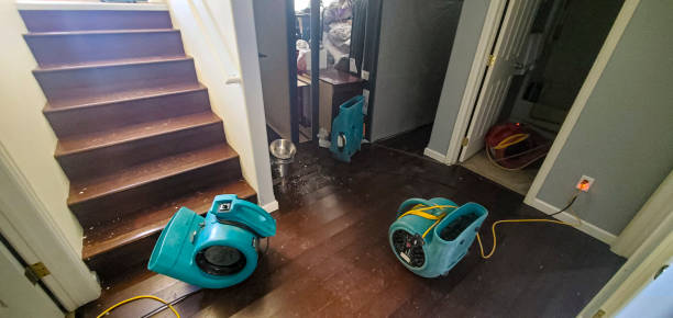 Best Water damage restoration insurance claims  in Rosend, LA