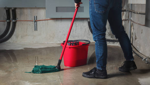 Rosend, LA Water damage restoration Pros