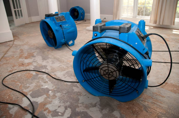Best Flooded house restoration  in Rosend, LA