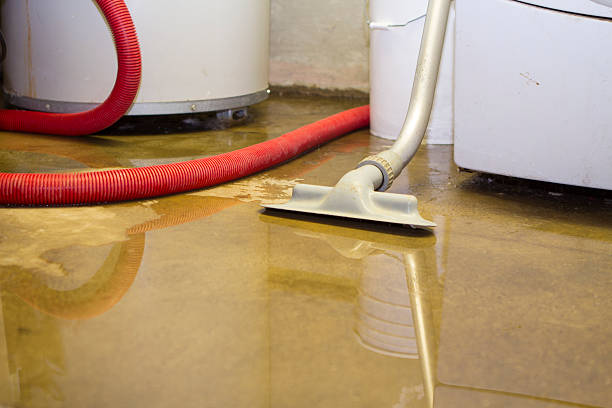 Roseland, LA Water damage restoration Company