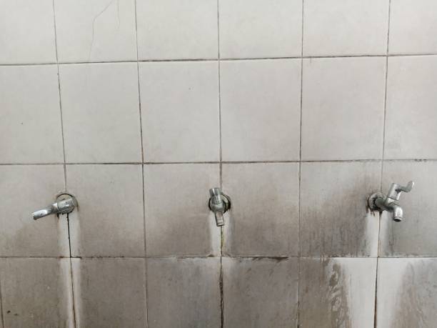 Best Water damage restoration near me  in Rosend, LA