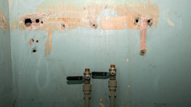 Best Water damage restoration mold remediation  in Rosend, LA
