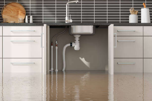 Best Mold removal after water damage  in Rosend, LA