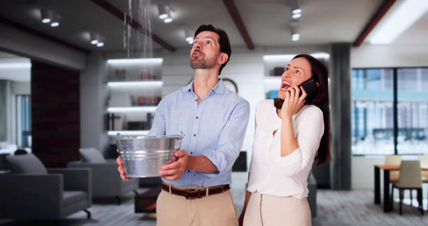 Best Fire Damage Restoration  in Rosend, LA