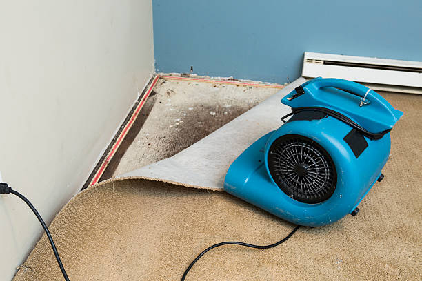 Best Local water damage restoration  in Rosend, LA